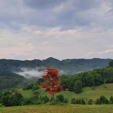 Apartmaji Bozicek 博德森特克