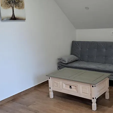 Apartmaji Bozicek 公寓 博德森特克